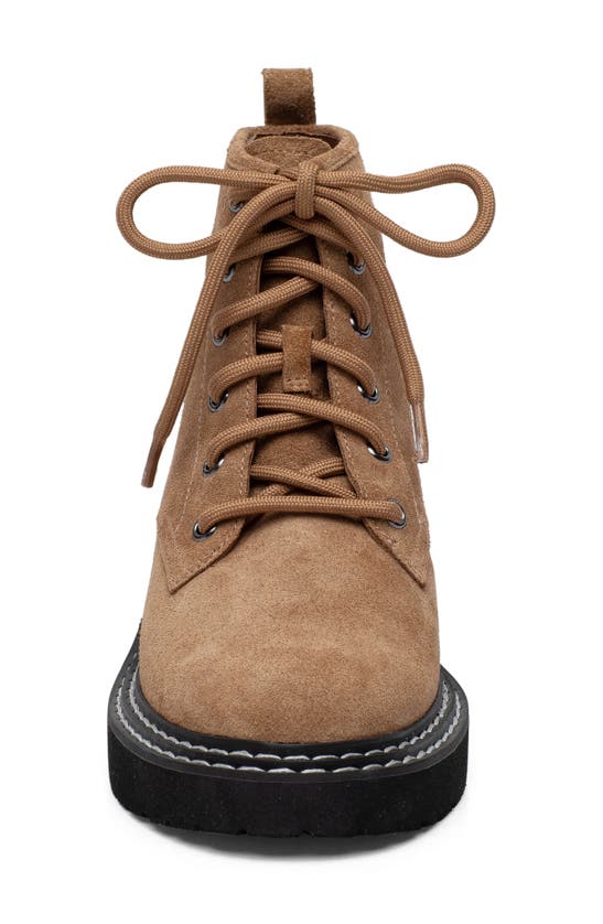 Linea Paolo Taylor Combat Boot In Whiskey