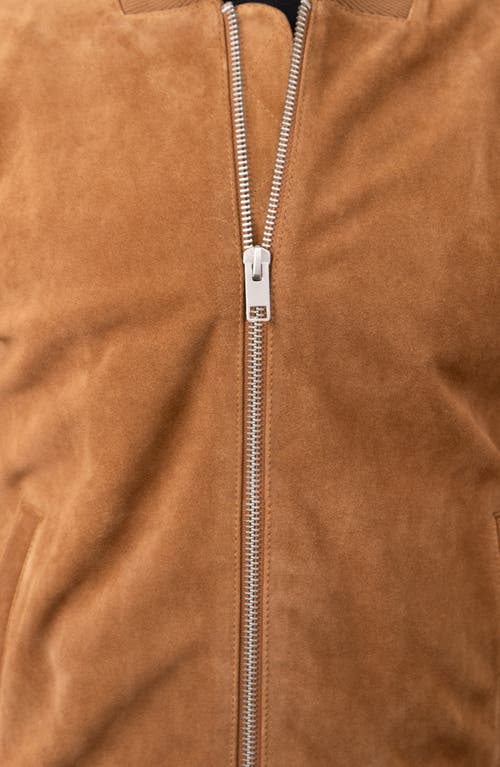 Shop Bagatelle Suede Bomber Jacket In Cognac