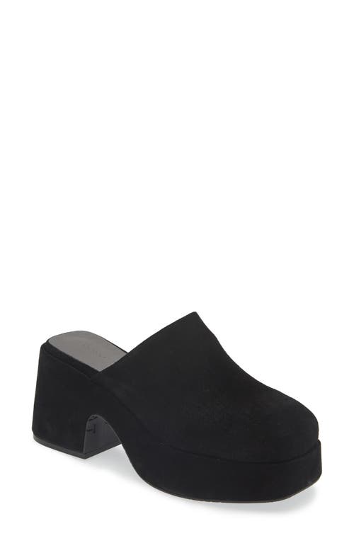 Chocolat Blu Hedia Platform Mule in Black Suede 