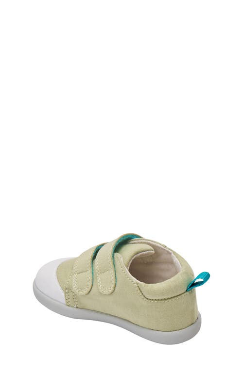 Ten Little First Walkers Sneaker In Sage Green