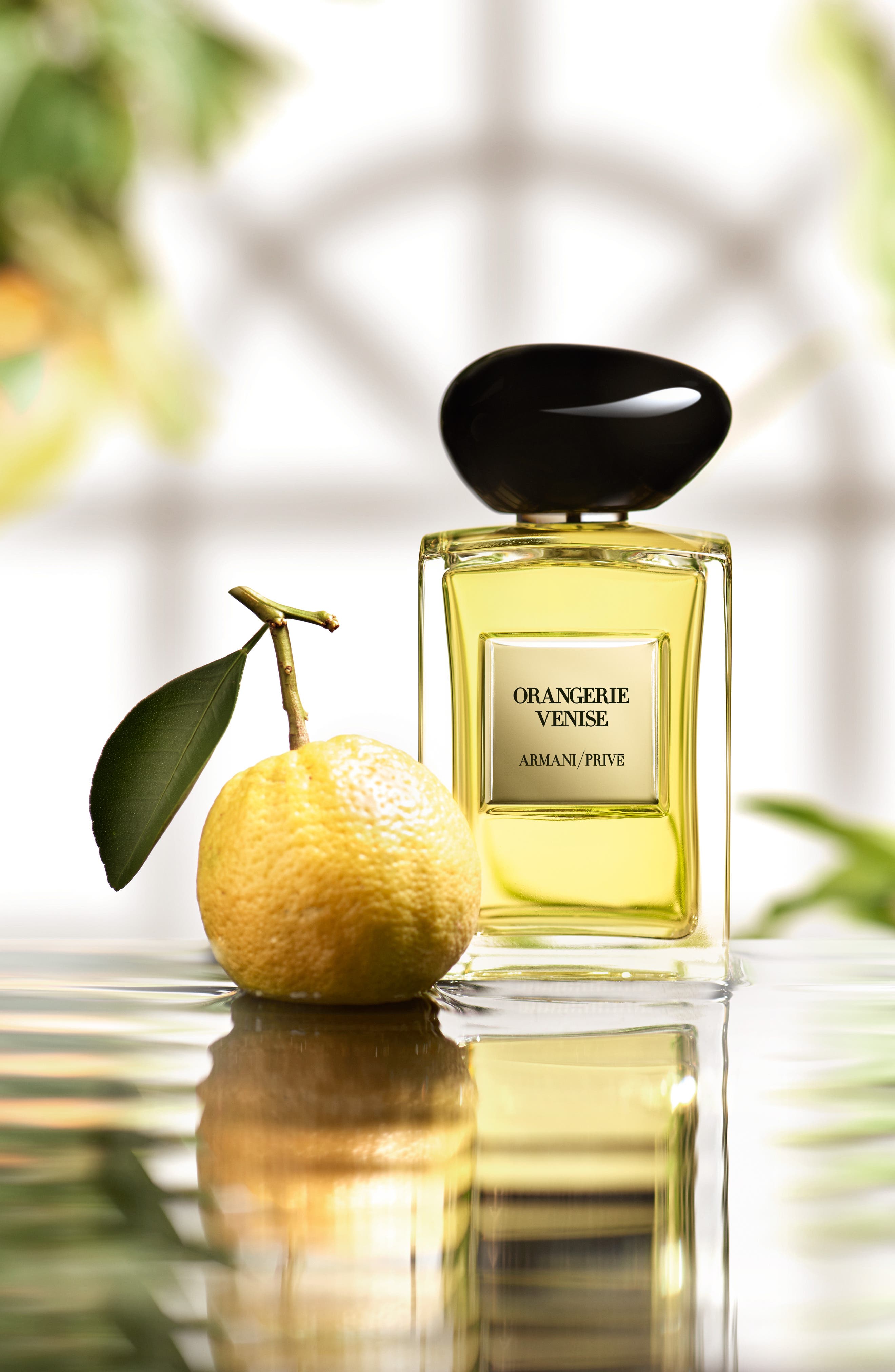 giorgio armani prive orangerie venise