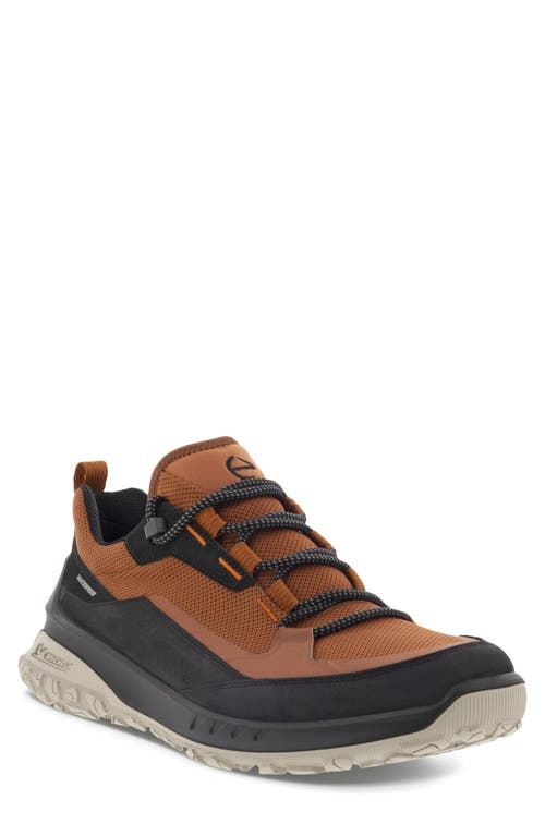 Shop Ecco Ult-trn Low Waterproof Hiking Shoe In Black/cognac