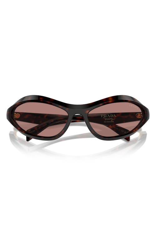 Prada 61mm Oval Sunglasses In Lite Brown