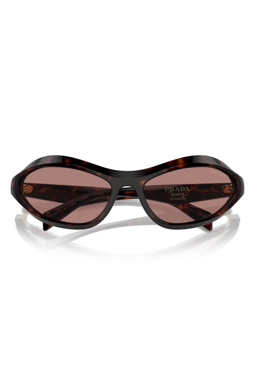 Prada 61mm Oval Sunglasses in Lite Brown 