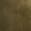 selected Khaki Fabric color