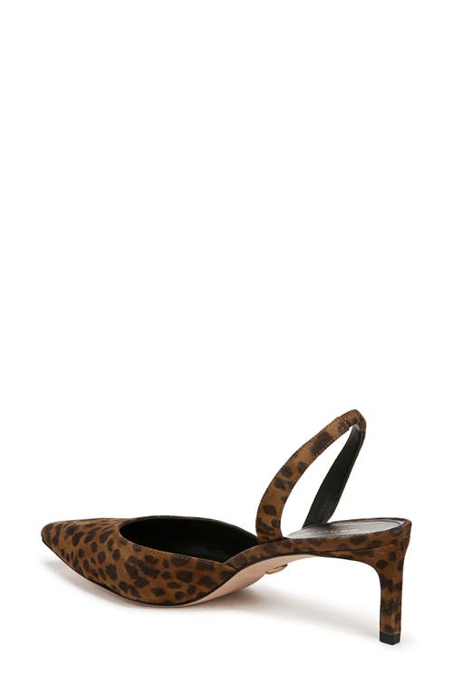 Shop Veronica Beard Caroline Pointed Toe Slingback Pump In Leopard