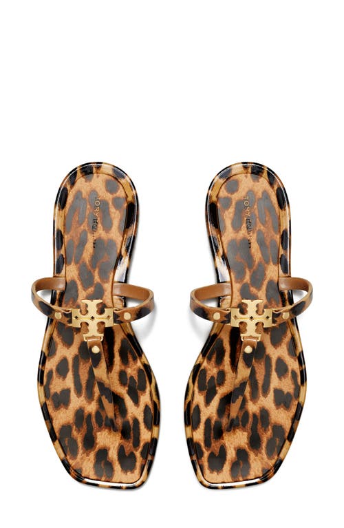 Tory Burch Roxanne Jelly Sandal In Classic Leopard