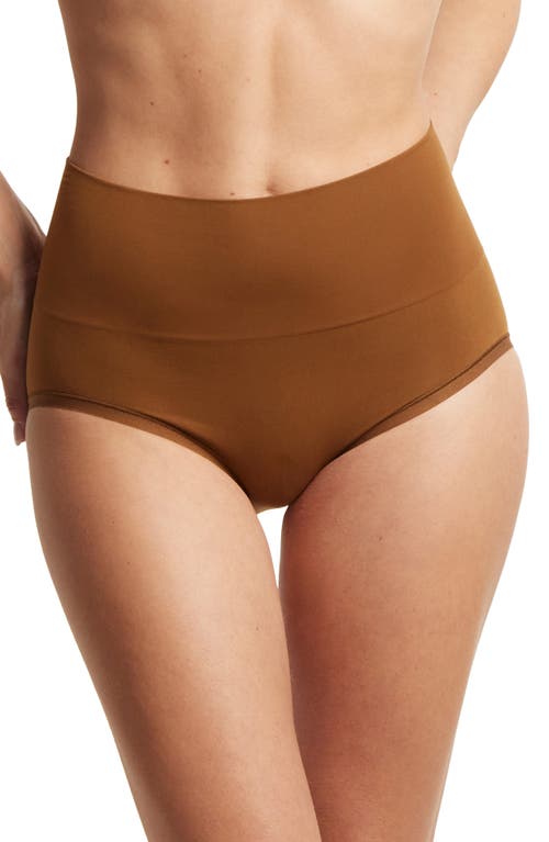 Shop Hanky Panky Body Boyshorts In Macchiato