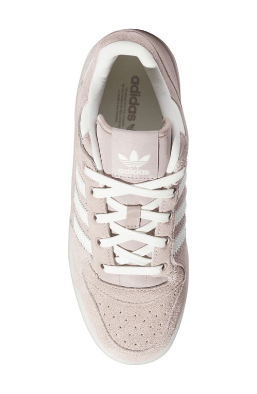 Shop Adidas Originals Adidas Forum Low Basketball Sneaker In Vapour Grey/ivory/sand