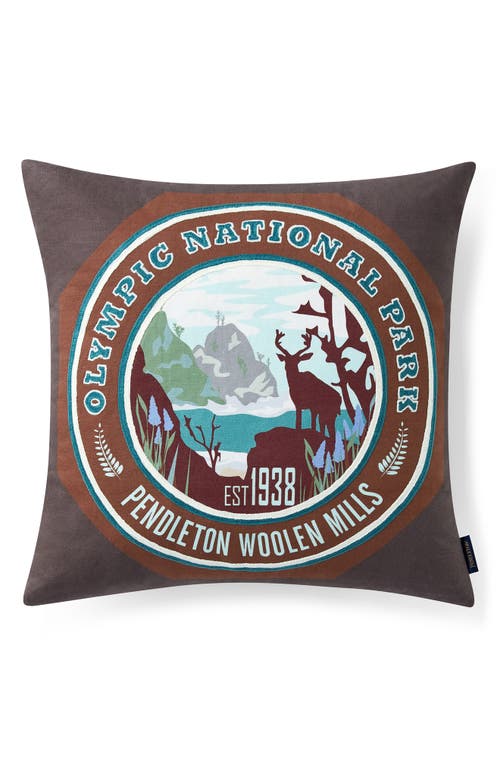Pendleton National Park Embroidered Accent Pillow in at Nordstrom