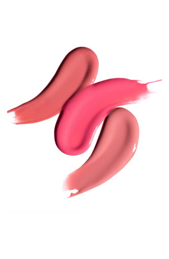 CHANTECAILLE WILD MEADOWS LIP CHIC