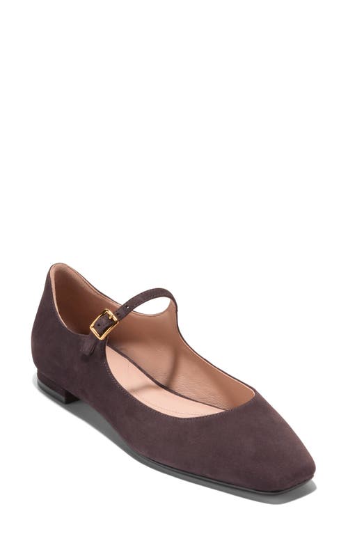 Cole Haan Bridge Mary Jane Ballet Flat in Dark Chocolate Suede 