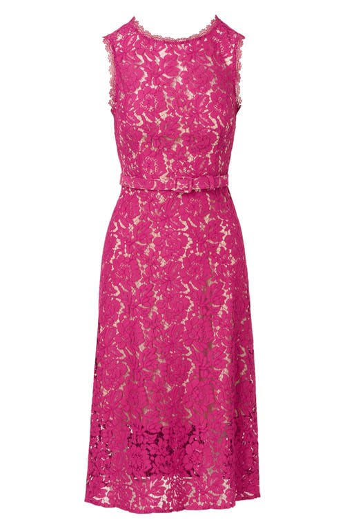 ADRIANNA PAPELL ADRIANNA PAPELL BELTED SLEEVELESS LACE MIDI DRESS