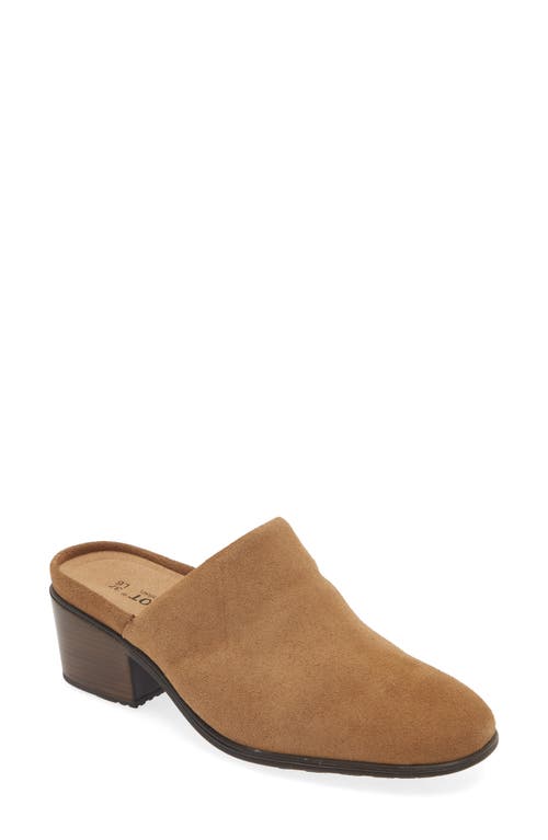 Naot Dedicate Mule in Acorn Suede 