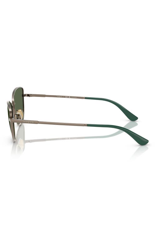 Vogue 56mm Polarized Butterfly Sunglasses In Lite Brown