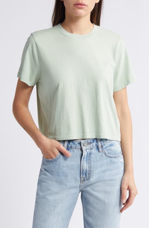 Lakeshore Softfade Cotton Crop Tee in Sunfaded Mint