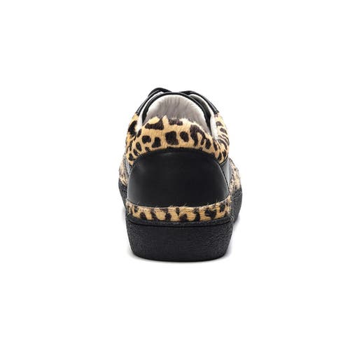 Carlos Santana Lennox Sneaker In Black Leopard