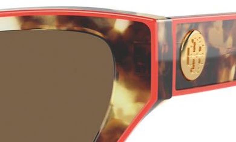 Tory Burch 54mm Cat Eye Sunglasses In Dark Brown