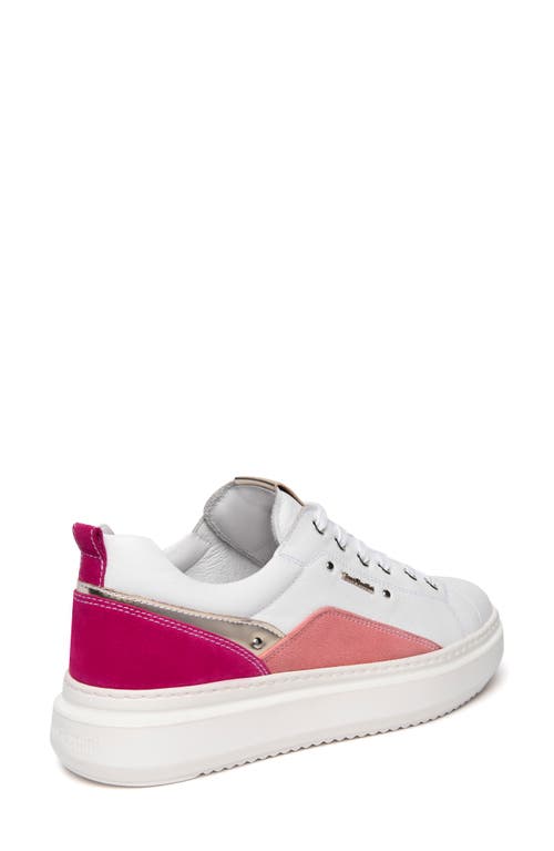 Nerogiardini Retro Colorblock Sneaker In White/fuchsia Multi