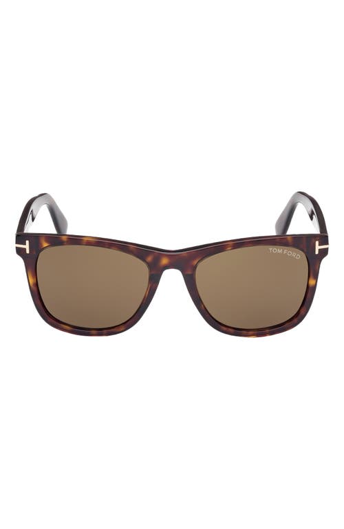 Tom Ford Kevyn 52mm Square Sunglasses In Brown
