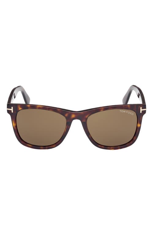 Tom Ford Kevyn 52mm Square Sunglasses In Shiny Dark Havana/roviex