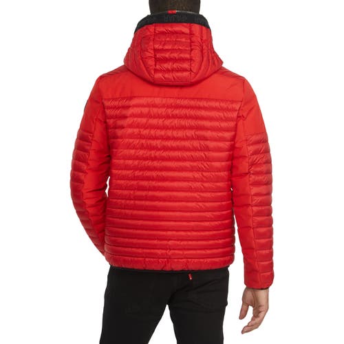 Pajar Finn Lightweight Mixed Media Puffer With Fixed Hood In Current Red