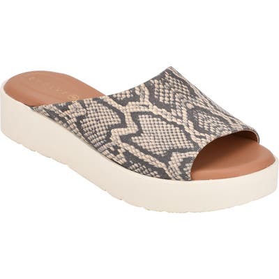 Evolve Flora Slide Sandal, Grey