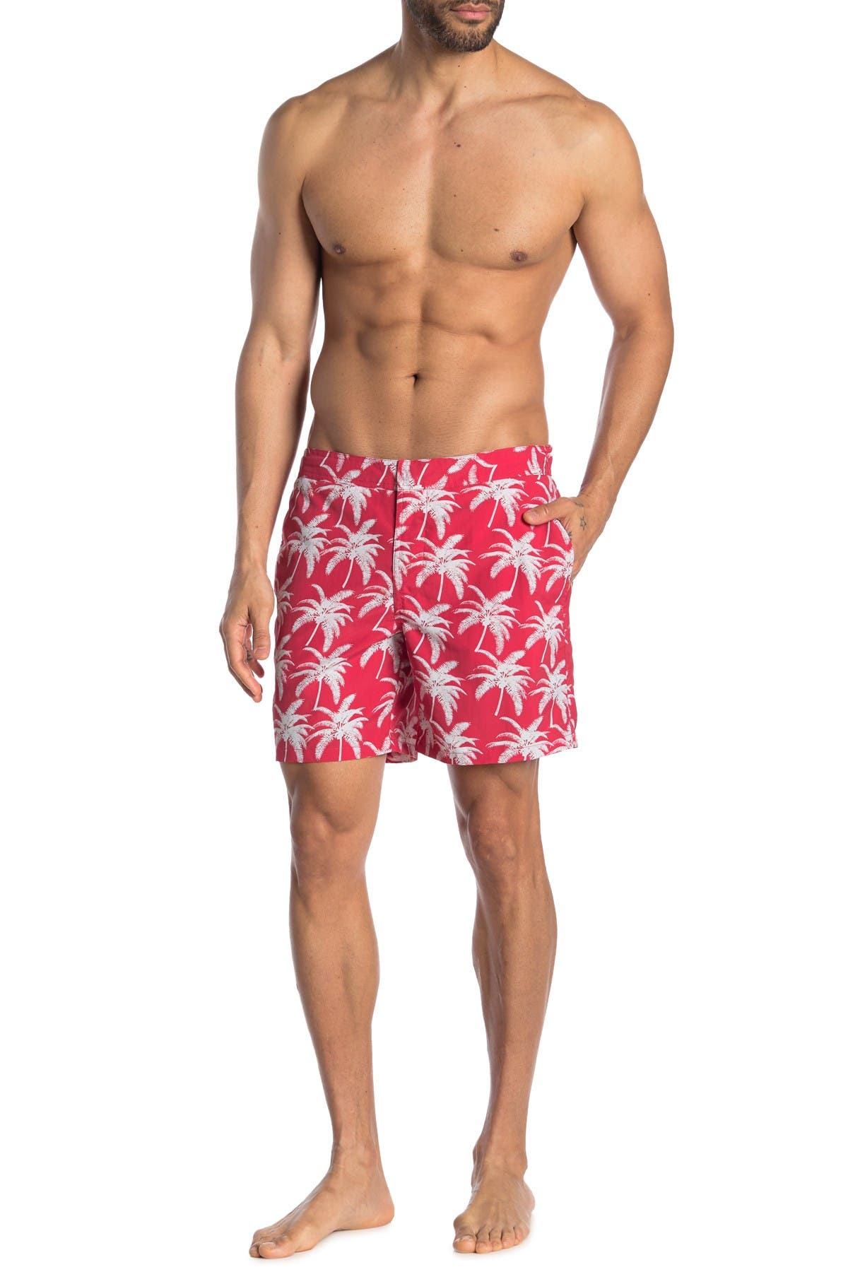 santa cruz swim shorts