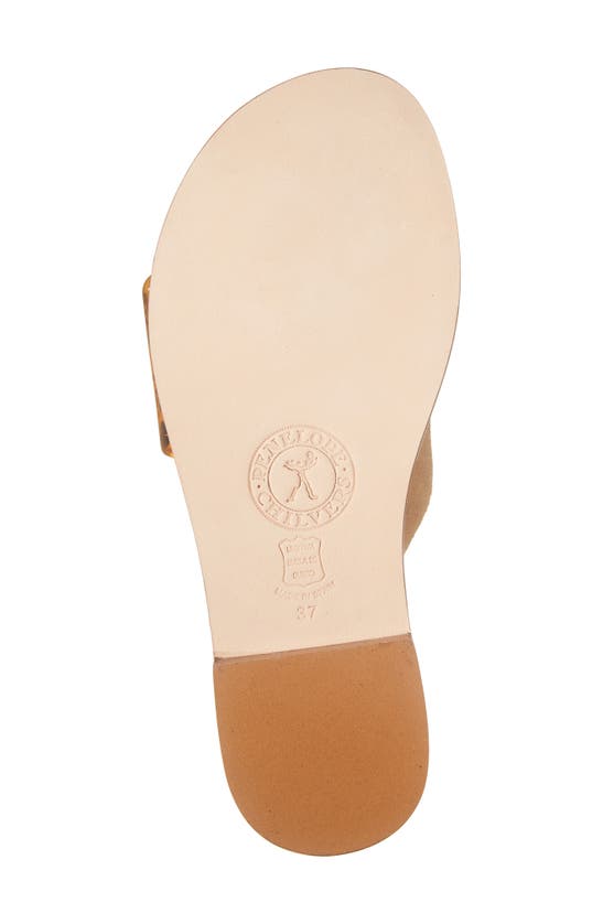 Penelope Chilvers Biarritz Buckle Sandal In Camel