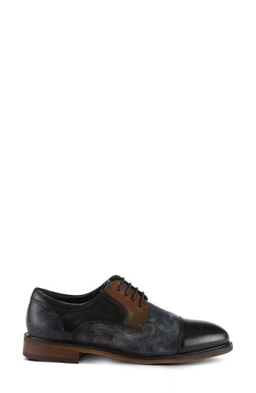 Shop L'artiste By Spring Step Leron Derby In Black Multi