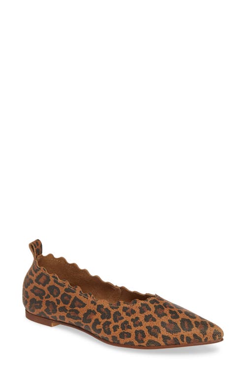 Klub Nico Naomi Scallop Pointy Toe Flat in Leopard Suede