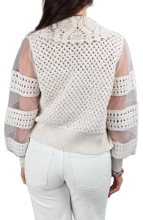 Saachi Crochet Cardigan In Ivory