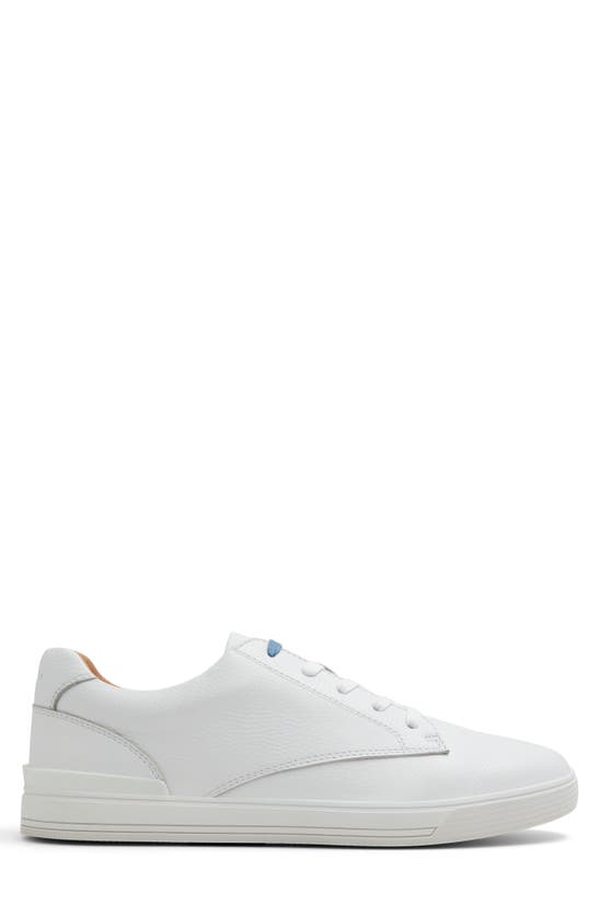 Shop Ted Baker Brentford Sneaker In White