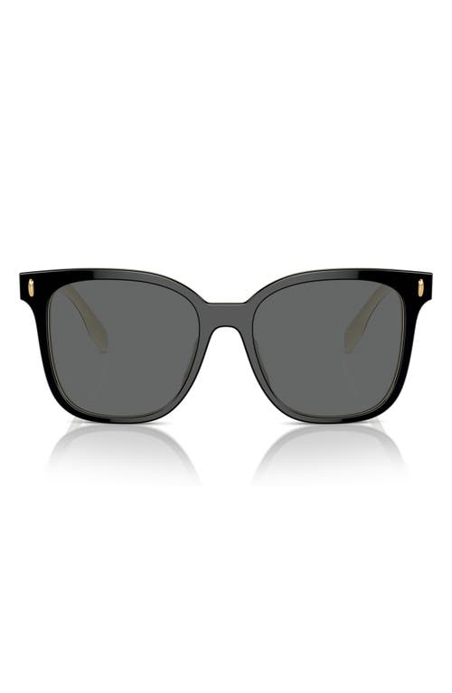 53mm Square Sunglasses in Black/Ivory