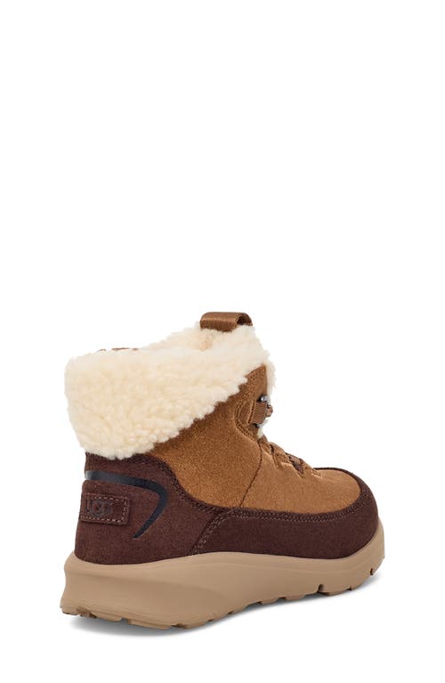 Shop Ugg(r) Kids' Terretrail Cozy Winter Boot In Chestnut