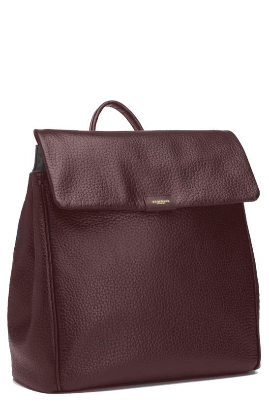 Storksak Babies' St. James Convertible Leather Diaper Backpack In Oxblood
