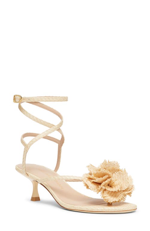 Shop Stuart Weitzman Belize 50 Sandal In Natural.