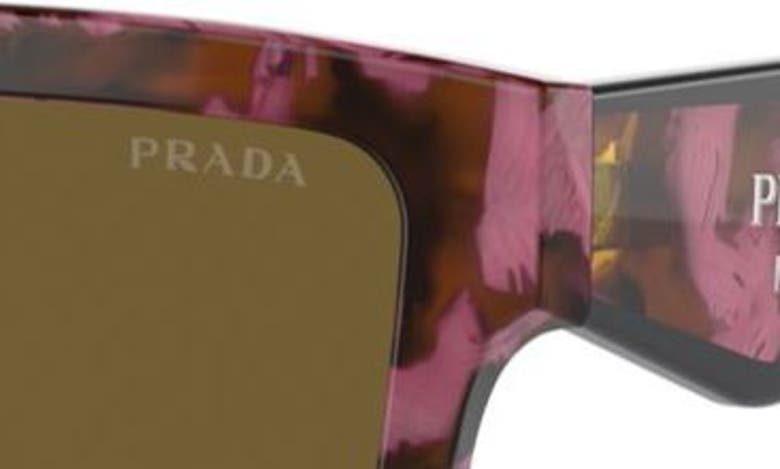 Shop Prada 56mm Square Sunglasses In Dark Brown