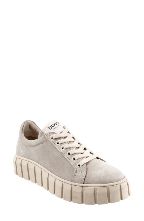 Bueno Talia Platform Sneaker in Fawn Suede