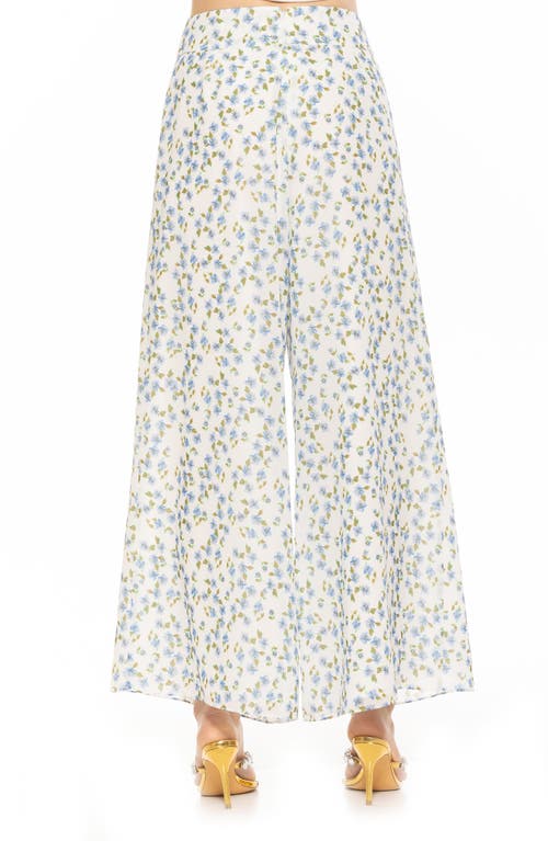 Alexia Admor Imogen Chiffon Pant In Blue Ditzy