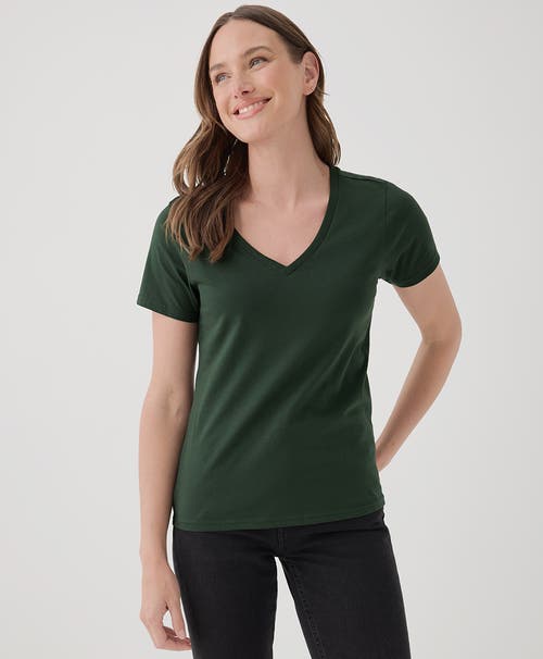 Shop Pact Organic Cotton Softspun V-neck Tee In Mountain View