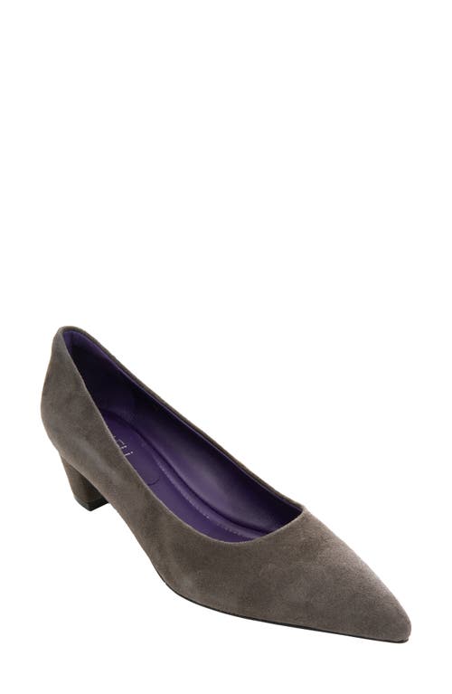 Tabia Pointed Toe Pump in Mouse Suede