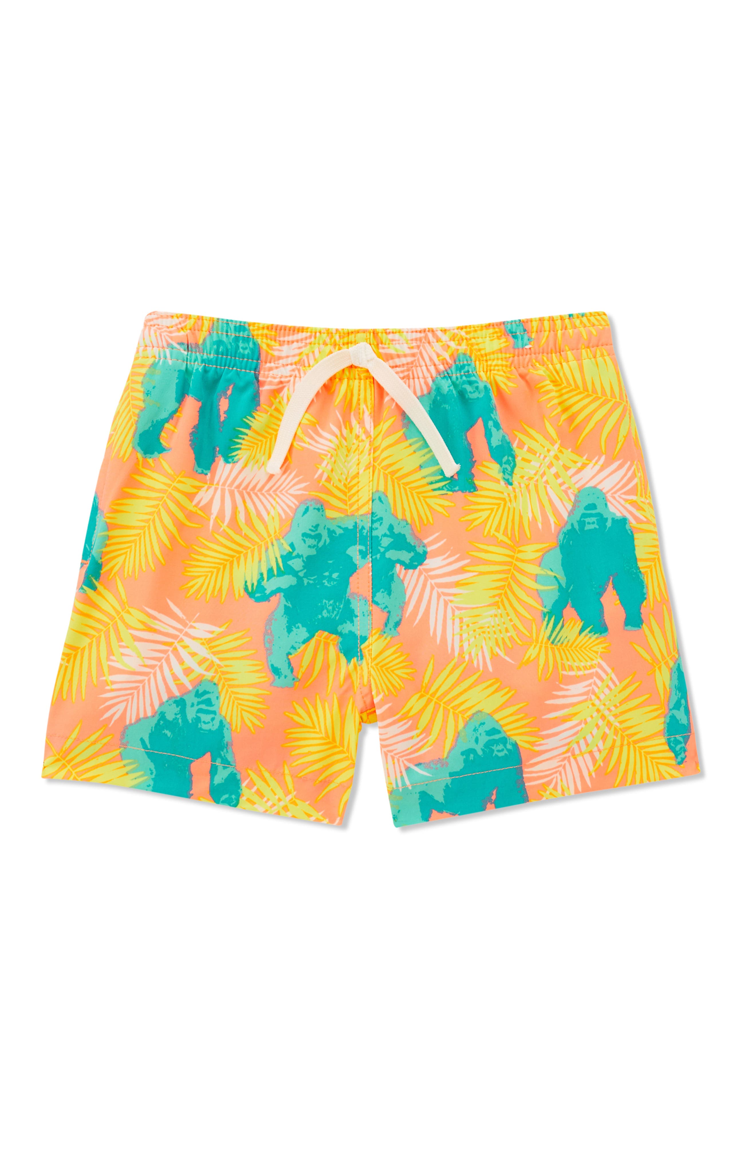 chubbies dinosaur swim trunks