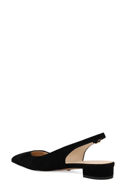 Shop Pelle Moda Aali Pointed Toe Slingback Flat In Black