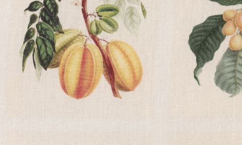 Petal And Pup Petal & Pup Botanique Cotton Drawstring Shorts In Neutral