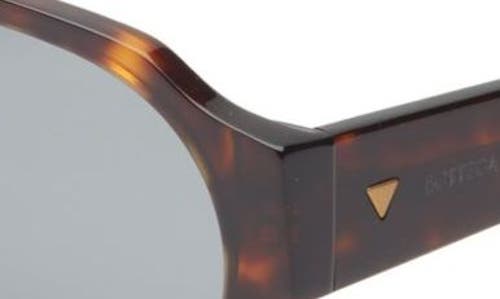 Shop Bottega Veneta 59mm Pilot Sunglasses In Havana