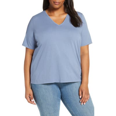 Plus Size Eileen Fisher Striped V-Neck Organic Cotton Tee, Blue