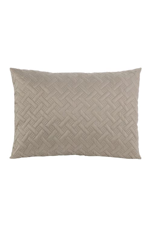 Vcny Home Nina Embossed Comforter Set In Taupe