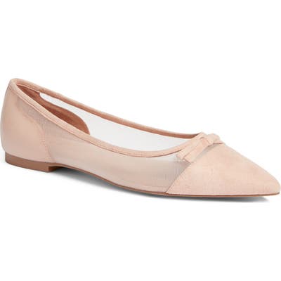 Halogen X Atlantic-Pacific Sadee Pointed Toe Flat- Pink (Nordstrom Exclusive)