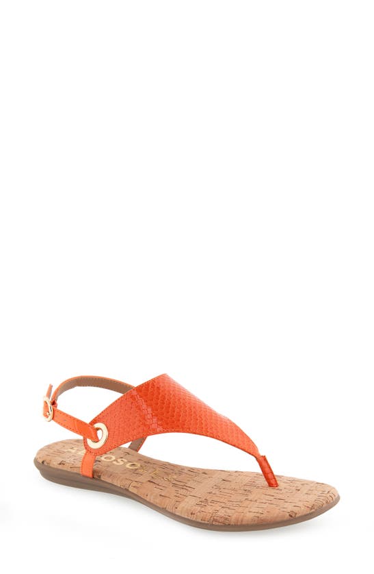 Aerosoles Conclusion Slingback Sandal In Mandarin Snake Patent Pu